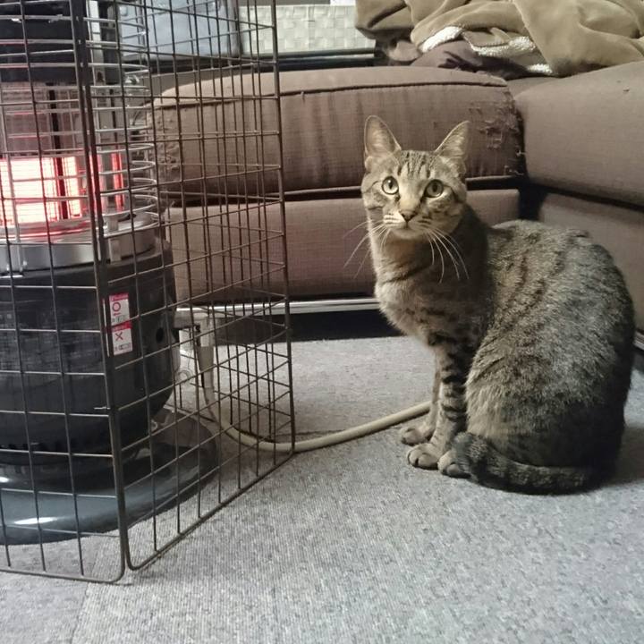 98559b62 0c13 4422 82d1 9c99d6cfa779