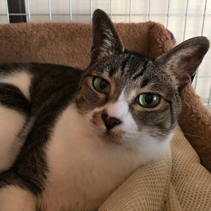 985682bc f46a 469c a983 f2a30f19df39