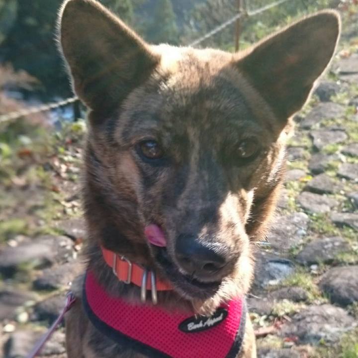 9857a09f 9bc1 4e77 932b 66d15aec2b29