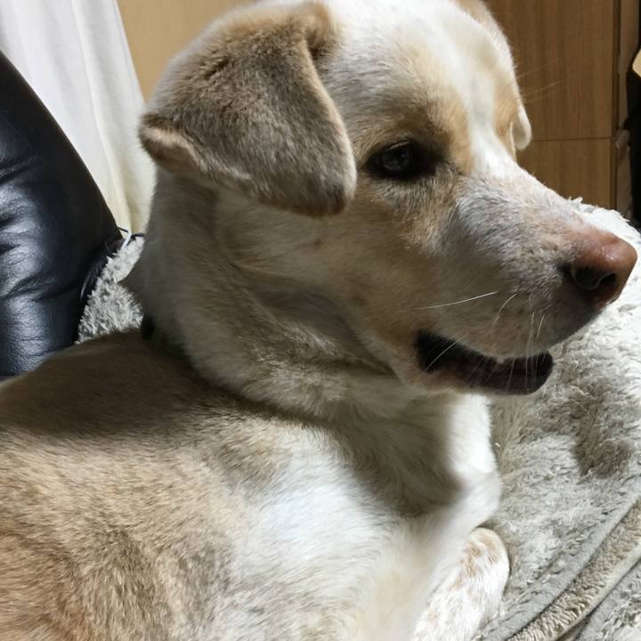 9857e52c abd6 4800 926c 96d2ec52c366