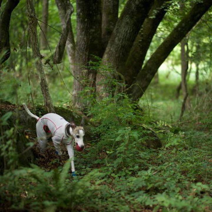 98598bb4 3593 4ba2 8e2e 78e1c8ea90b6