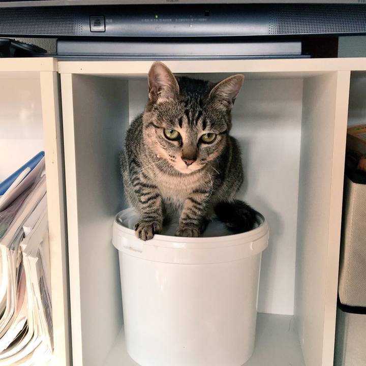 985994de 78f6 4049 bcbc 912a5bc79df9