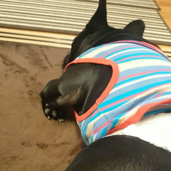 985995d2 67d1 44f1 b740 a3ef6da46630