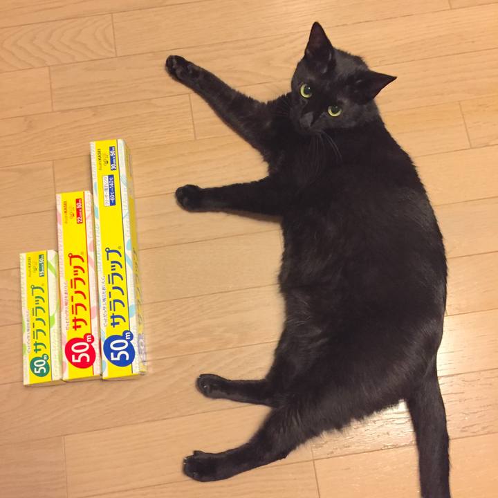 9859da76 5a28 4763 a613 d0f86b57b66b