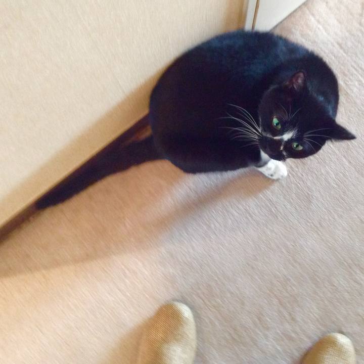 985b0035 de91 4154 817b 79663d5e14d5