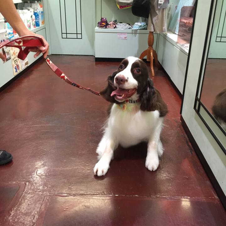 985bb0b7 25a8 42eb 9d0c 68e83a17d3bd