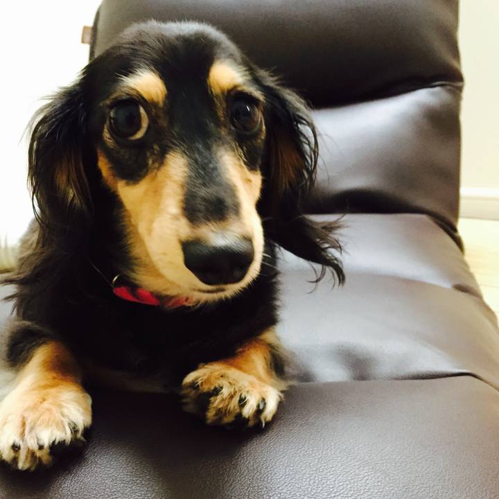 985bda1b d7ad 4332 8b14 b2f37ffd6a5e