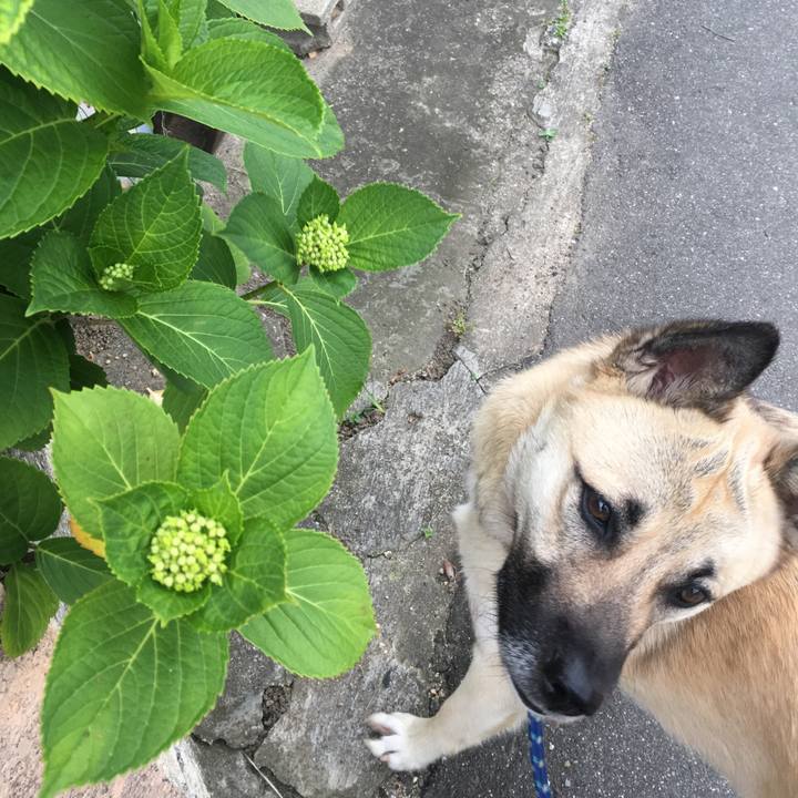 985c0c35 e82d 4a7b 9693 47f92f0a1560