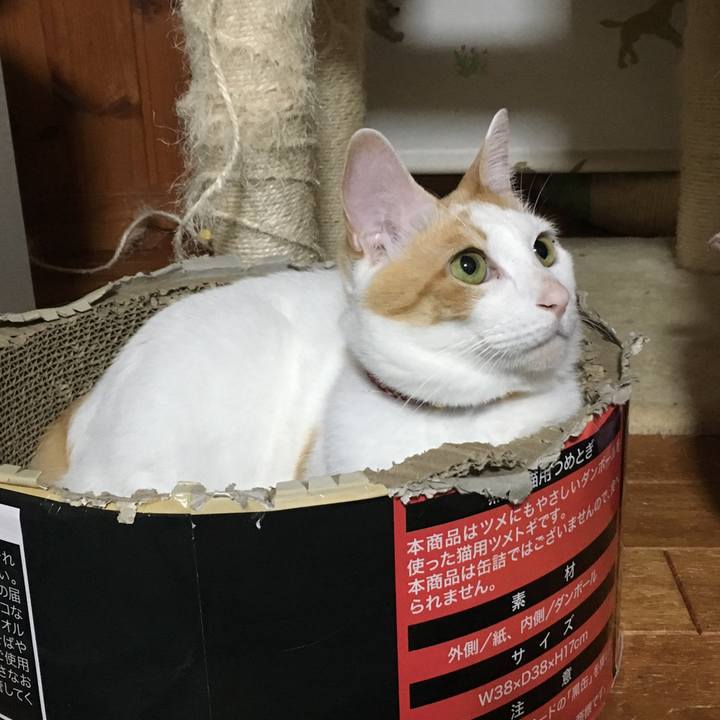 985d6d2d 741f 46ec 8b70 d479c43d9a43