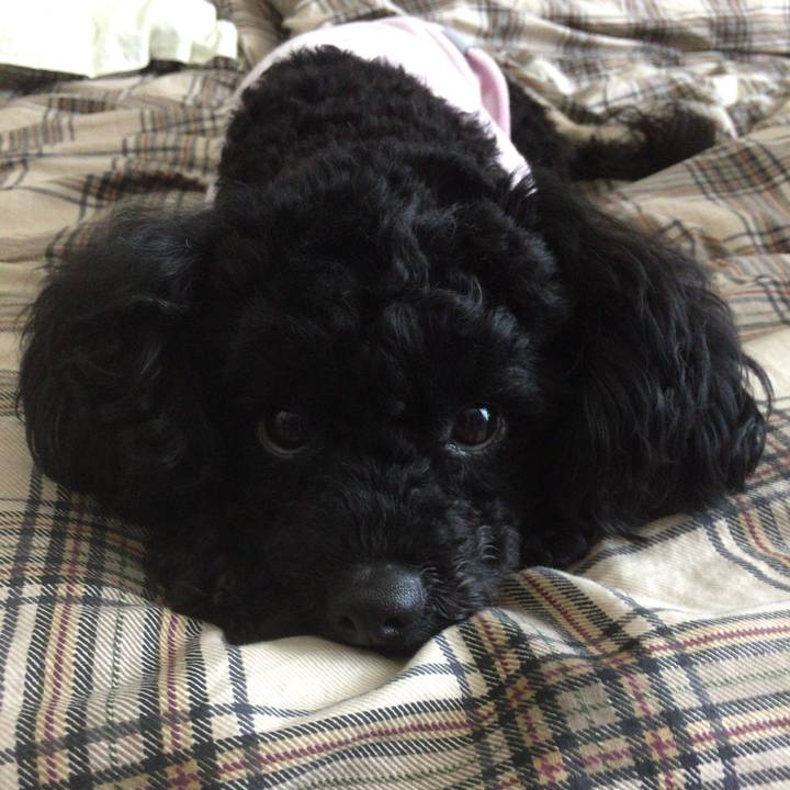 985db432 b1df 46b7 970b 485b9cfa4325