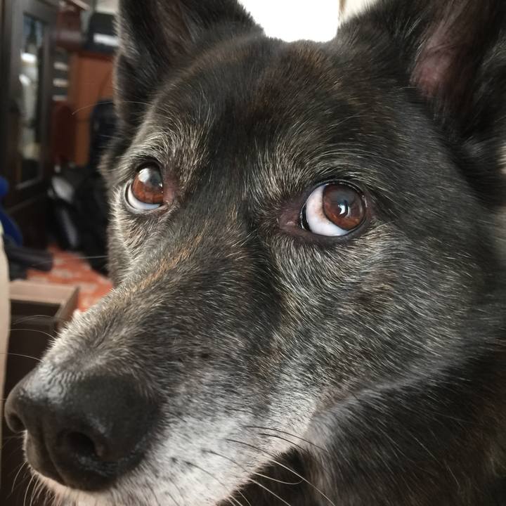 985dc653 ebff 4493 afbc 1145f9aa4ae1