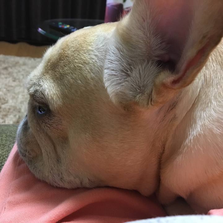 985dea51 28fd 45ea 9091 1a31142e801d