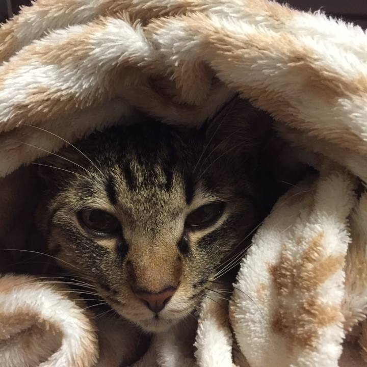 985e05a2 4dd2 4ef0 a996 f156d1b37337