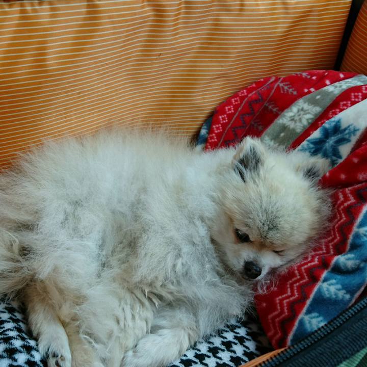 985e299e 3d19 4fd7 8ee5 264cf390560a