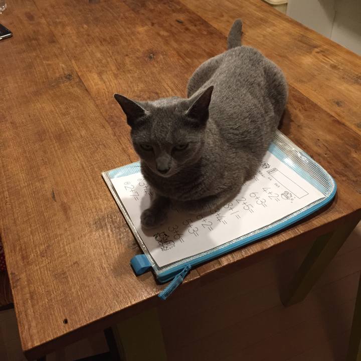 985e3a78 67d3 41c7 99bc be85f3b35267