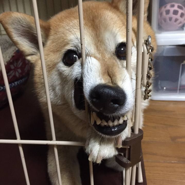 985e9ae5 0042 439d 9ed7 a2916f56cac3