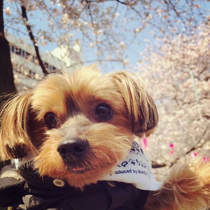 985eb57e 4262 4162 83e8 29fe53dbeff2