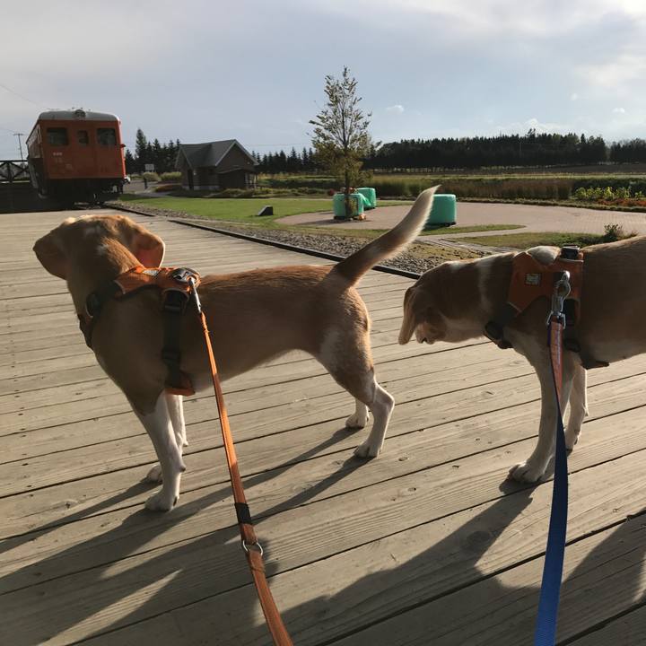 985ff5f2 9948 4d73 af9c 80795f5e9691