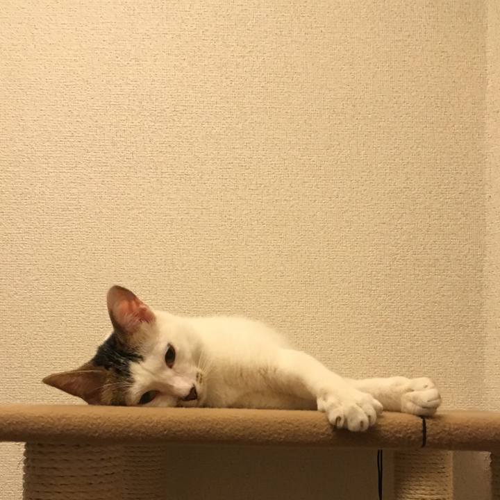 985ff86d 08bc 4d92 b4f1 ccf2e24fc726