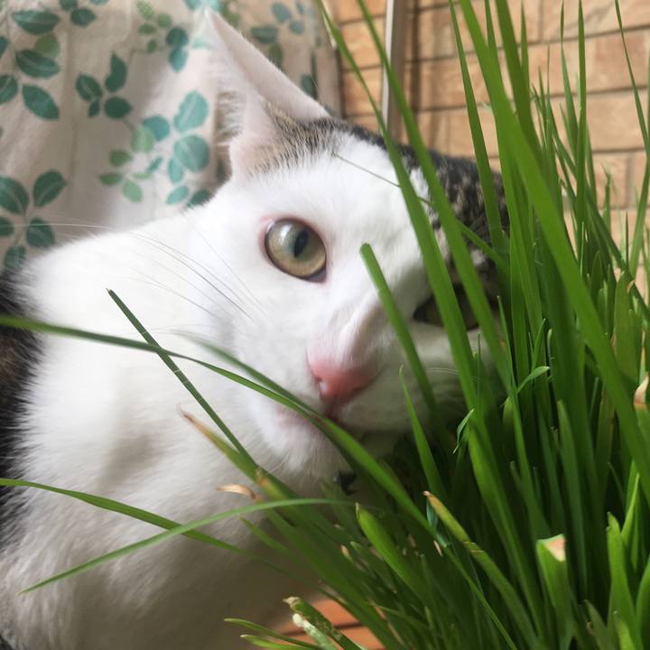 986057f3 2316 423f 9329 862c5d7d836a