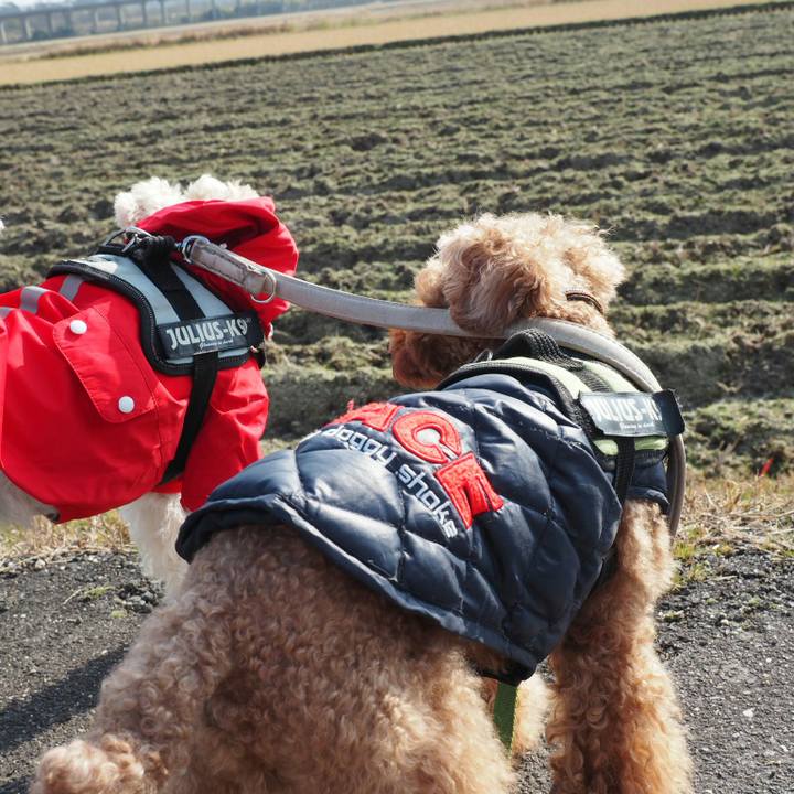 98609f23 7f66 45bb aaca 9cf96805fa26