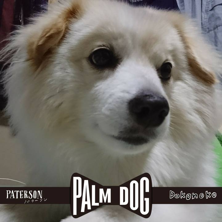 9861c611 ceeb 4a87 8fd2 09fe29031694