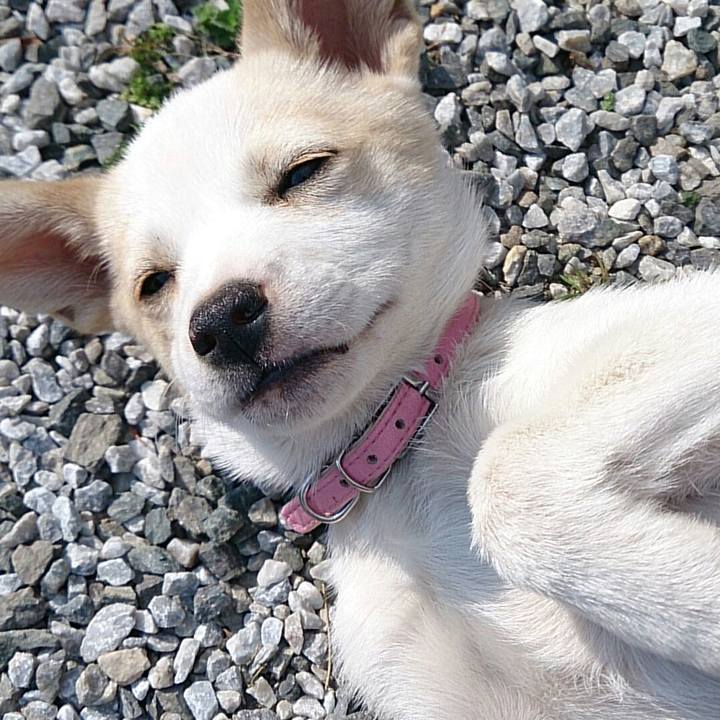 98622655 e908 4f95 b9c0 4096fca68cdf