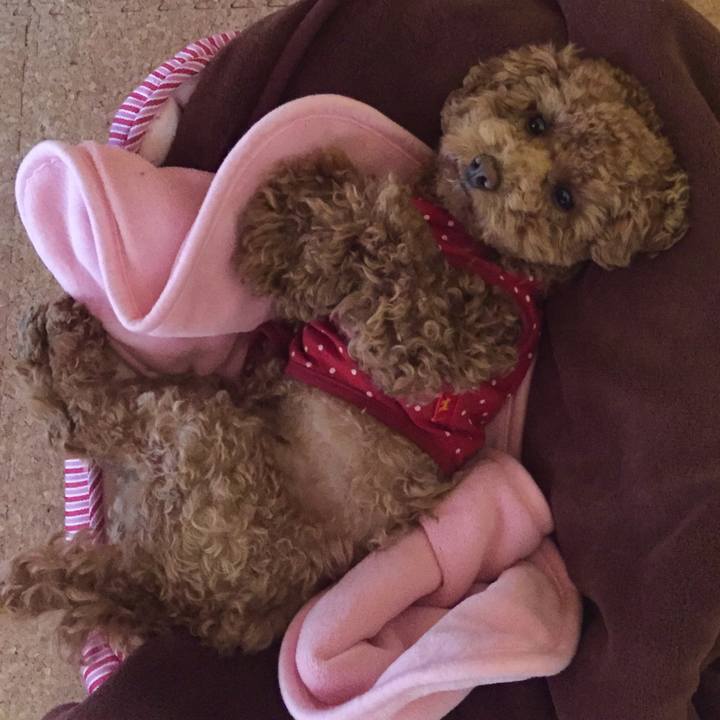 98629d7d dc65 472e ba27 c96ce1ef43d7