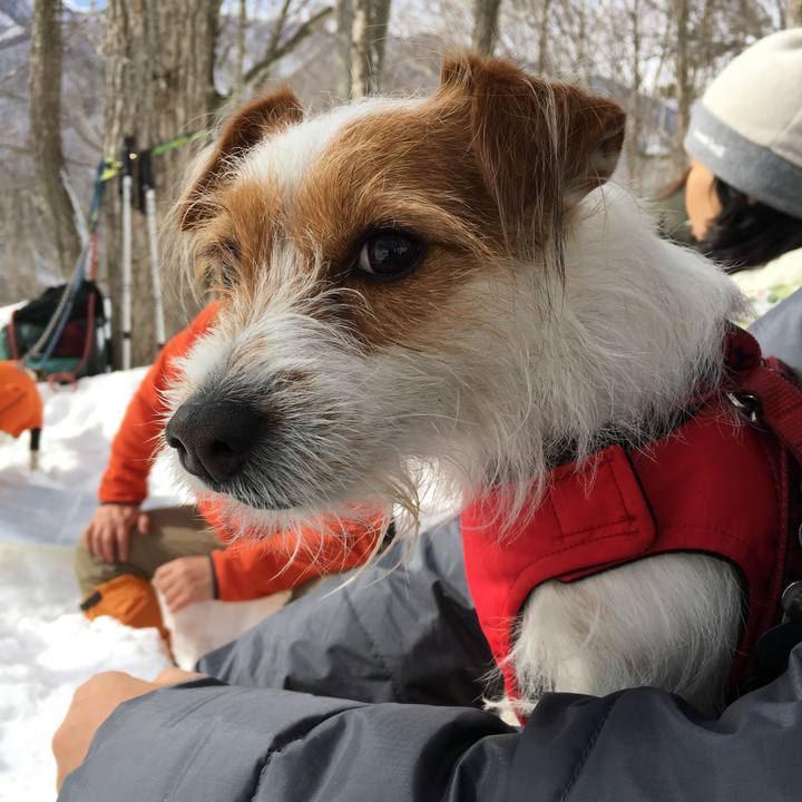 9863748d f3db 47b8 9c85 b8e43953f622