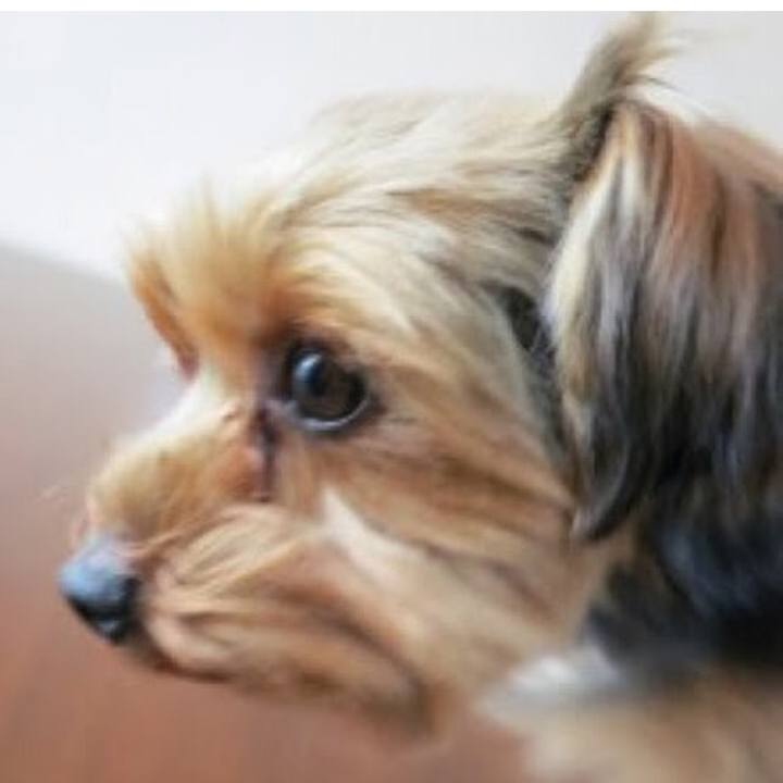 9863d000 16c9 4d7b b2b0 3bbd47f64425