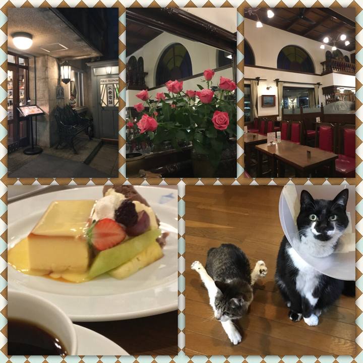 986411c6 96d0 4b7f 953e a91fec430c56