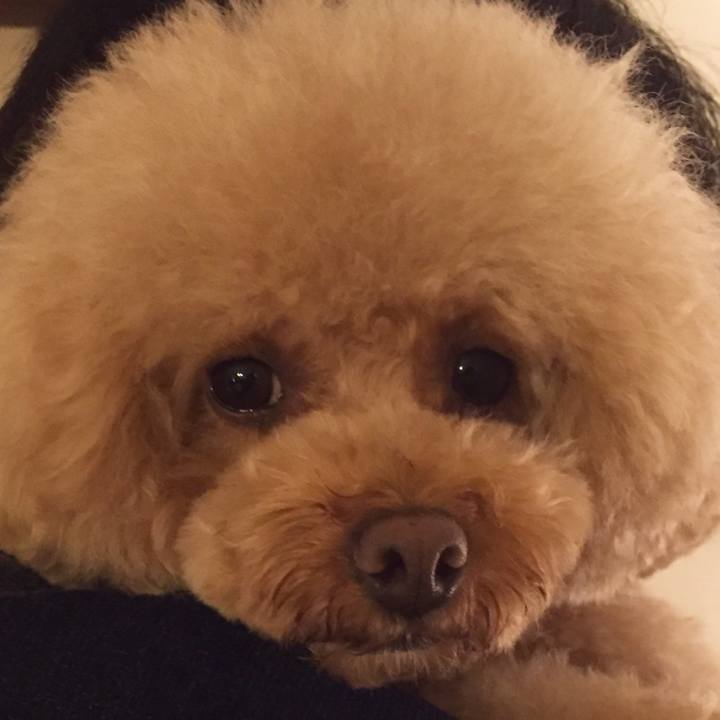 98647985 c4d2 47f1 aa21 75413c1099f1