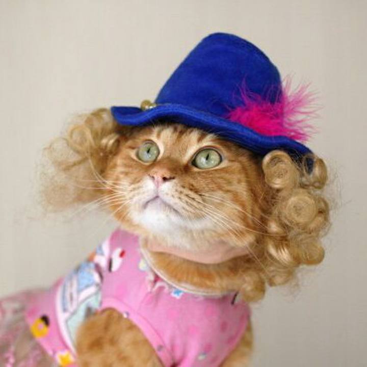 9864f4df ae7c 4c46 9ce1 01c4647ce20d