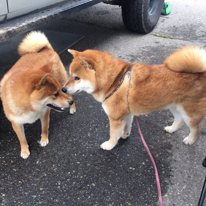 9864fa4b 562b 4f1c a556 def4d546935a