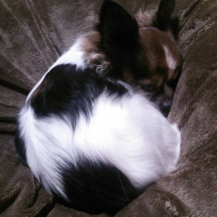 986538ce 815a 4178 be44 92024f357574