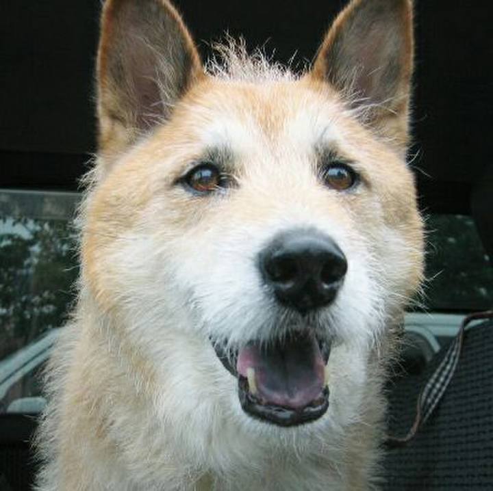 98660d09 d6da 4c1f aebe af6e65a2692e