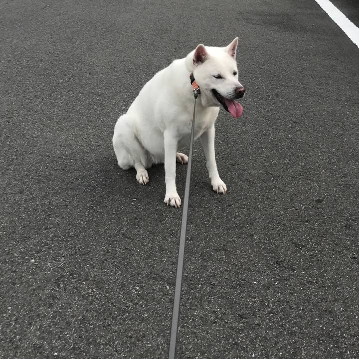 986617a0 424e 49c0 83bc b9a13195d57e