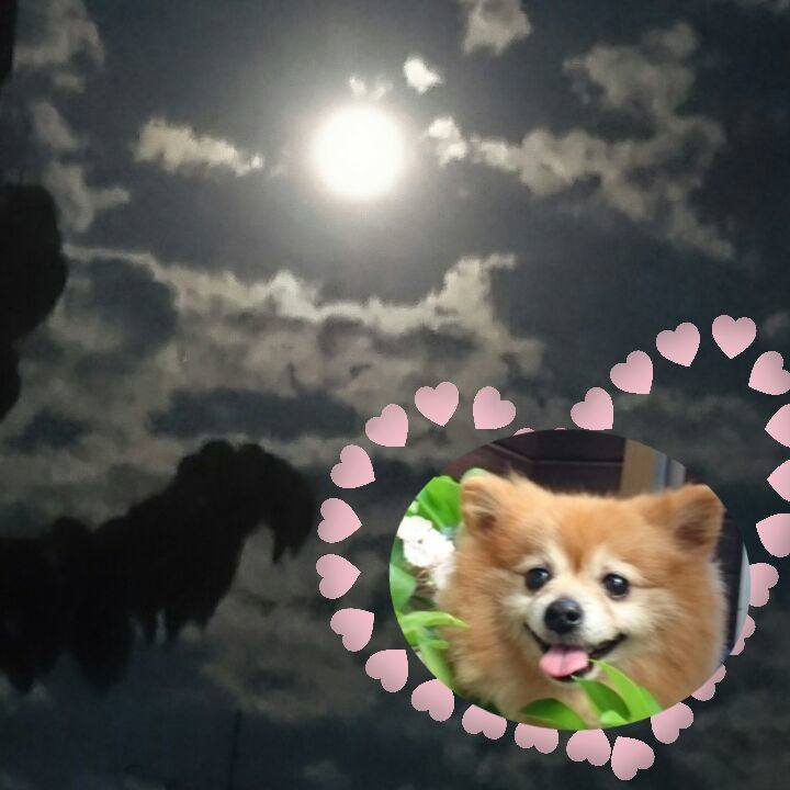 9866262d 942d 4f22 bd80 296f61e0d112