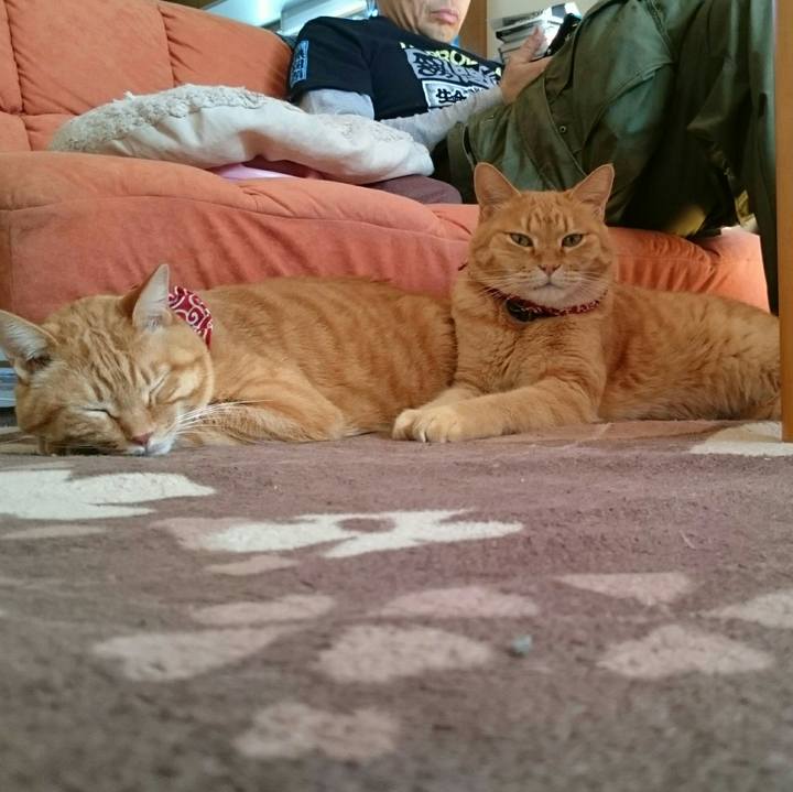 98662ebd 448b 4456 939d 86d706b17b7a