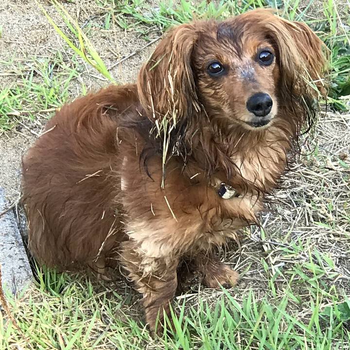 98668ef1 e9a8 4df6 8ea0 f0320a1c920c