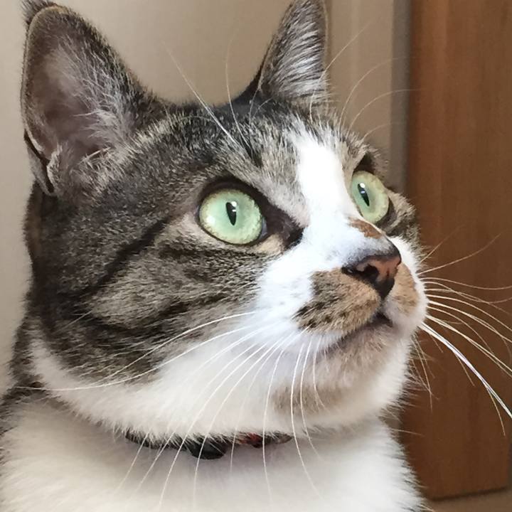 9866e7d1 d6df 4b7c 9d83 59e85eb2d0f9