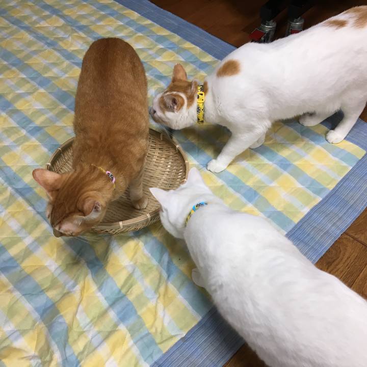 986704e3 d15a 4538 8944 521525f9e84d