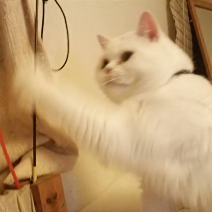 98671b64 e6da 4861 a88a 2fa95f2401fc