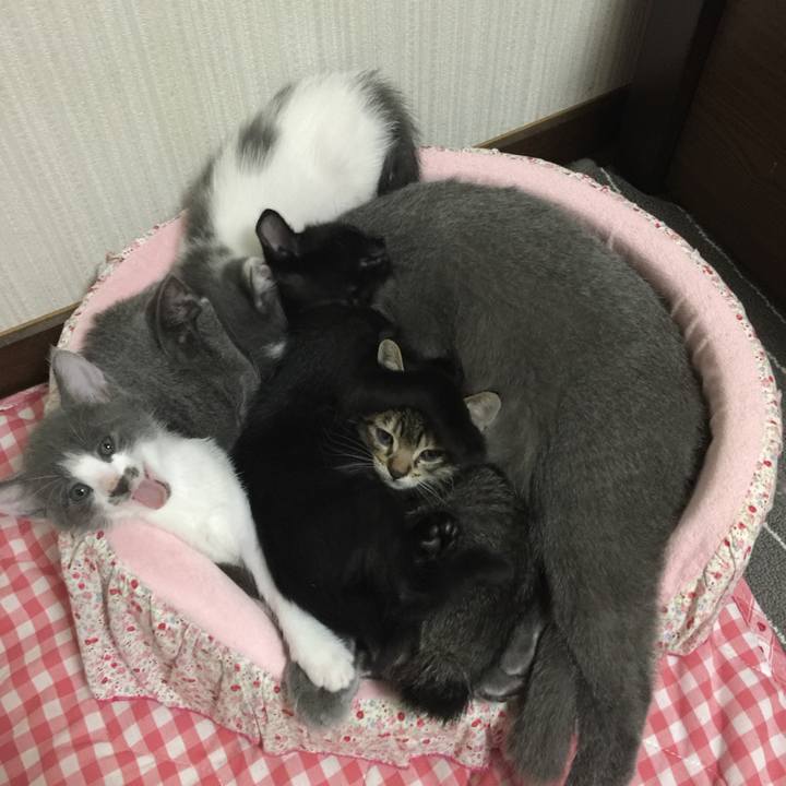 98671f9d 0733 494f ba64 26086a545c64