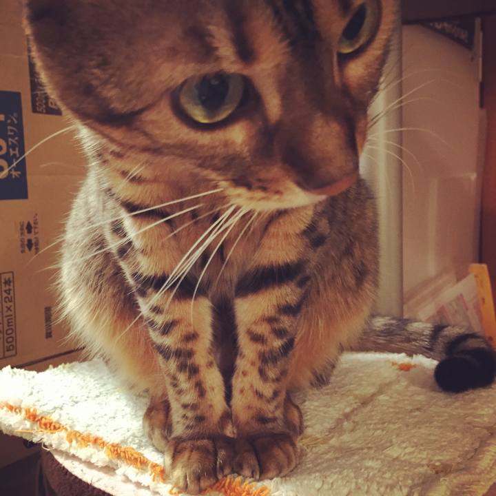 986726cc 2891 44c6 a6bc 60b3aaeab656