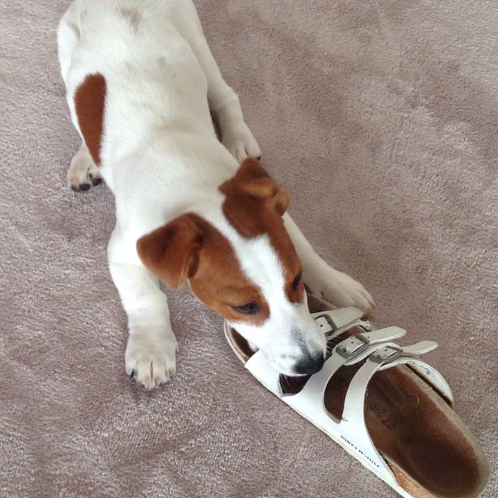 98678621 52da 440b b777 fb7763f257bc