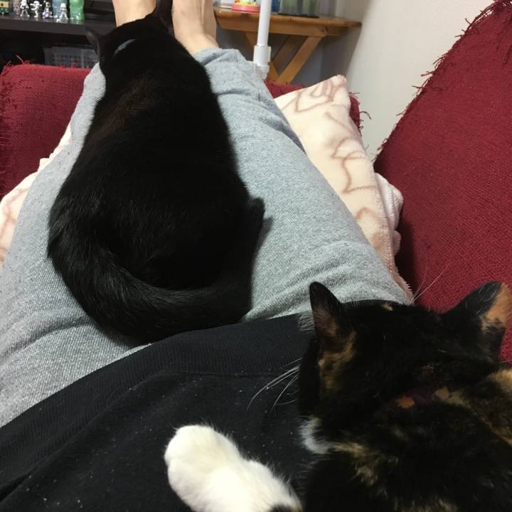 9867a86b 70a5 4eb9 9554 332889ab6e89