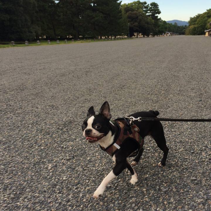 986814b1 1d43 4299 976d 7da0674b8b09