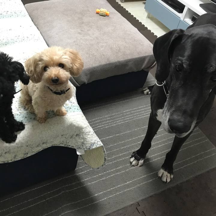 9868679d a0af 4b2e 8d60 48a5be533047