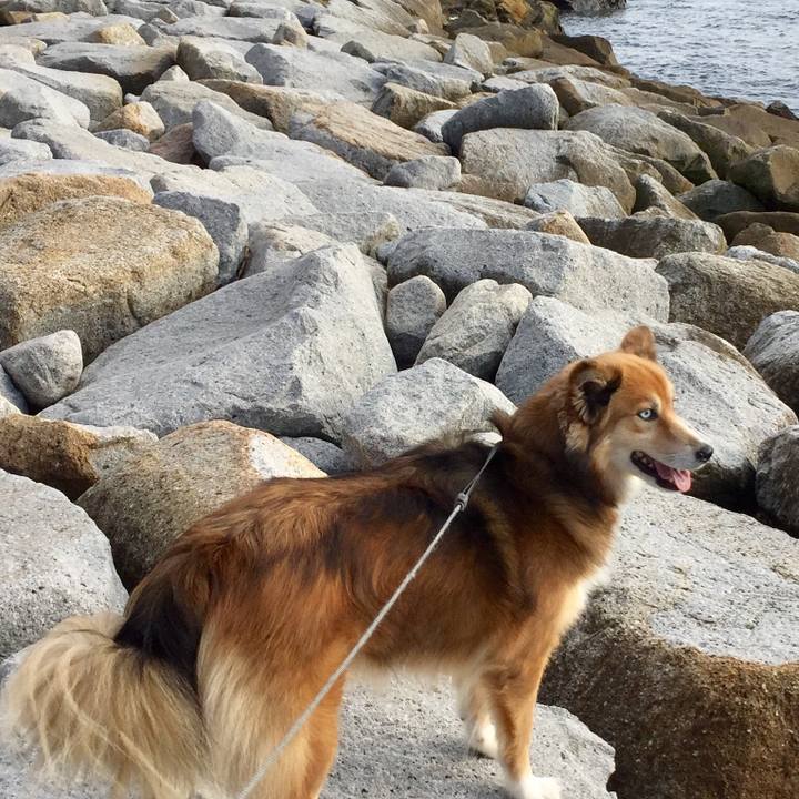 9868ce4e 2f23 40b5 b675 f1e167d3fe51